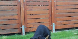 Beitragsbild des Blogbeitrags Wenn das Mittagessen im Garten wächst !