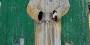 Beitragsbild des Blogbeitrags Carlos