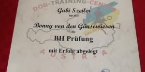 Beitragsbild des Blogbeitrags Gratulation zur bestandenen Prüfung