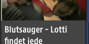 Beitragsbild des Blogbeitrags Sendung verpasst ? LOTTI von den Gänsewiesen