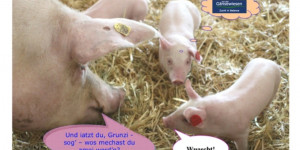 Beitragsbild des Blogbeitrags Prosit Neujahr 