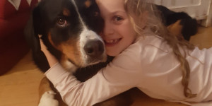 Beitragsbild des Blogbeitrags Der große Wunsch nach einem eigenen Familienhund 