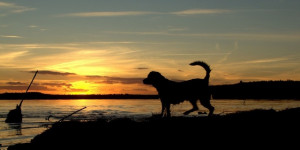 Beitragsbild des Blogbeitrags Cora am Geiseltalsee