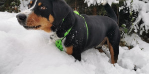 Beitragsbild des Blogbeitrags Winterwanderung