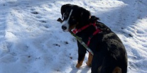 Beitragsbild des Blogbeitrags … eine richtige Schneeprinzessin