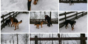 Beitragsbild des Blogbeitrags Grüsse aus Zell am See