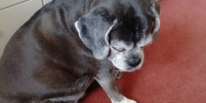 Beitragsbild des Blogbeitrags Ich muss nachdenken, ob ich so einen kalten Frühling schon einmal erlebt habe.