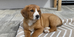 Beitragsbild des Blogbeitrags Mein neues Zuhause