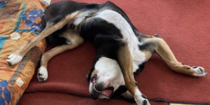 Beitragsbild des Blogbeitrags Kaum zu glauben