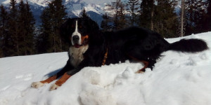 Beitragsbild des Blogbeitrags Güsse aus Innsbruck