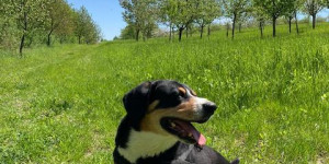 Beitragsbild des Blogbeitrags Geburtstagskind ILO – wir gratulieren zum 10 er!