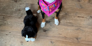 Beitragsbild des Blogbeitrags Gerti‘s zweiter Geburtstag