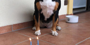 Beitragsbild des Blogbeitrags 2. Geburtstag