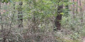 Beitragsbild des Blogbeitrags Begegnungen