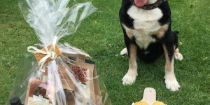Beitragsbild des Blogbeitrags 16 Jahre – das ist ein grosser Geburtstag!