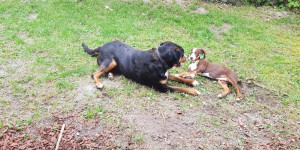 Beitragsbild des Blogbeitrags Wir haben viel Spaß 