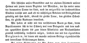 Beitragsbild des Blogbeitrags Wissenschaftliche Quellen der Sennenhunde 1853