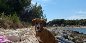 Beitragsbild des Blogbeitrags Marlis erster Urlaub am Meer