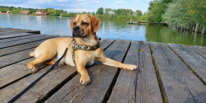 Beitragsbild des Blogbeitrags Bist ja doch seine Mami.