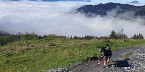 Beitragsbild des Blogbeitrags Urlaub mit Blick auf das Mont Blanc-Massiv