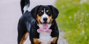 Beitragsbild des Blogbeitrags Wir erinnern uns an Demi