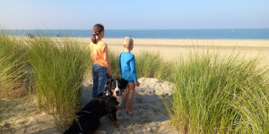 Beitragsbild des Blogbeitrags Familienurlaub an unserem Lieblingsort Zeeland, NL. 