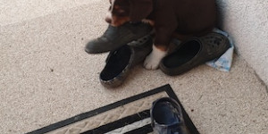 Beitragsbild des Blogbeitrags Auf die Schuhe passe ich auf