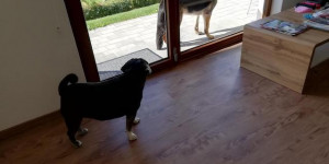 Beitragsbild des Blogbeitrags Was ist da los?