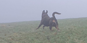 Beitragsbild des Blogbeitrags Urlaub in Bayern macht Spass!