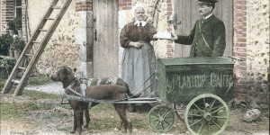 Beitragsbild des Blogbeitrags Der Zughund – ob er zur Erreichung der Klimaneutralität beitragen kann?