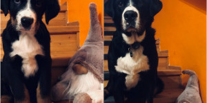 Beitragsbild des Blogbeitrags Liebe Grüße von Sammy 