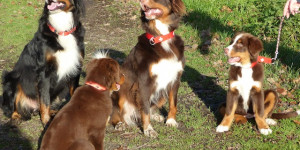 Beitragsbild des Blogbeitrags Hier grüssen die Mädels aus dem Norden DE 