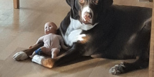 Beitragsbild des Blogbeitrags Stellt Euch vor, ich habe das Christkind gefunden – hilflos und nackt.