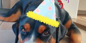 Beitragsbild des Blogbeitrags Alles Liebe für das kommende Jahr.