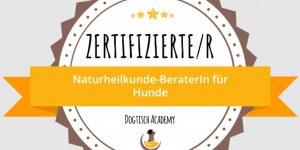 Beitragsbild des Blogbeitrags Herzlichen Glückwunsch liebe Brigitte!