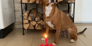 Beitragsbild des Blogbeitrags Marlis 1. Geburtstag 