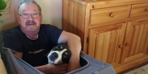 Beitragsbild des Blogbeitrags Wer wird an die Box gewöhnt?
