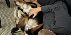 Beitragsbild des Blogbeitrags Lebenszeichen von der kleinen „Urmel“ 