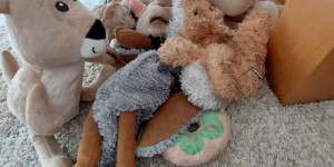 Beitragsbild des Blogbeitrags Der Kuscheltierfriedhof von Franz