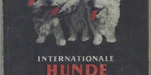 Beitragsbild des Blogbeitrags Aus den Anfangszeiten der Sennenhunde Zucht in Österreich 