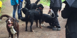 Beitragsbild des Blogbeitrags Frühlingswanderung 2022 