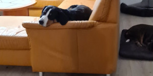 Beitragsbild des Blogbeitrags Die besten Liegeplätze 