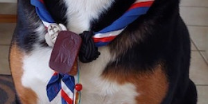Beitragsbild des Blogbeitrags Vroni 5. Geburtstag
