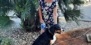 Beitragsbild des Blogbeitrags Xavers Urlaub in Kroatien