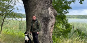 Beitragsbild des Blogbeitrags Spaziergänge liebt Frieda besonders 