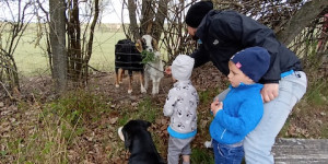 Beitragsbild des Blogbeitrags Glückwunsch zum 10. Geburtstag den Hundebabys, geb. 26.7.12 