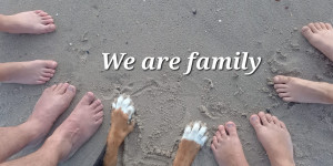 Beitragsbild des Blogbeitrags Ein obligatorisches Familienfoto