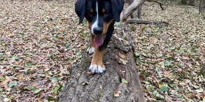 Beitragsbild des Blogbeitrags Ich habe viel Spaß mit ihr. 