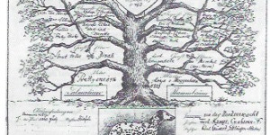 Beitragsbild des Blogbeitrags Was ist eine Ahnentafel (auch Stammbaum oder Pedigree genannt)