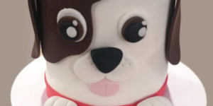 Beitragsbild des Blogbeitrags Heute gibt es ein grosses Fest für FINN zum 14. Geburtstag